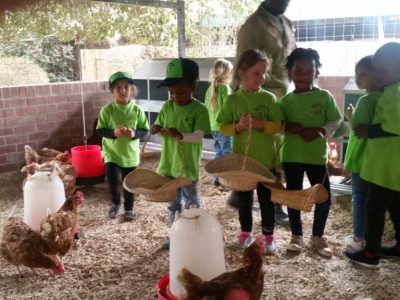 IMG-20180907-WA0036-1024x576